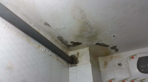 Chia sẻ những bí quyết chống thấm trần nhà hiệu quả từ các chuyên gia